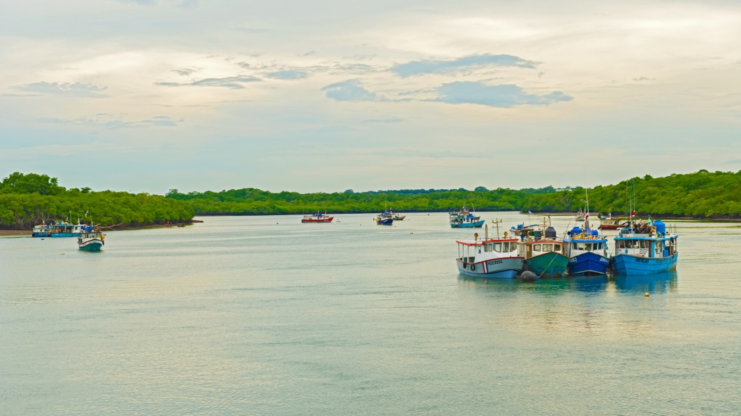 Panamá regula la pesca, según la necesidad mundial de sostenibilidad