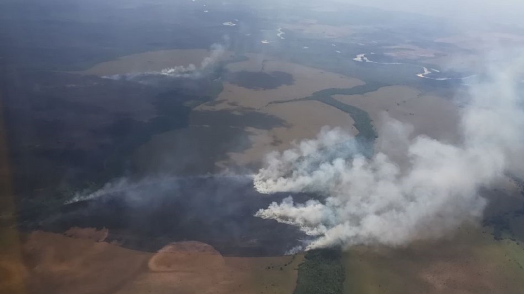 Incendios forestales arrasan con miles de hectáreas en la Orinoquía