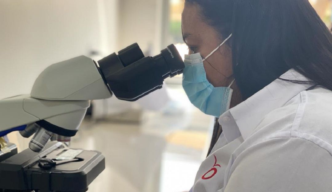 Investigación fitosanitaria en Magdalena, para control de hongos en banano
