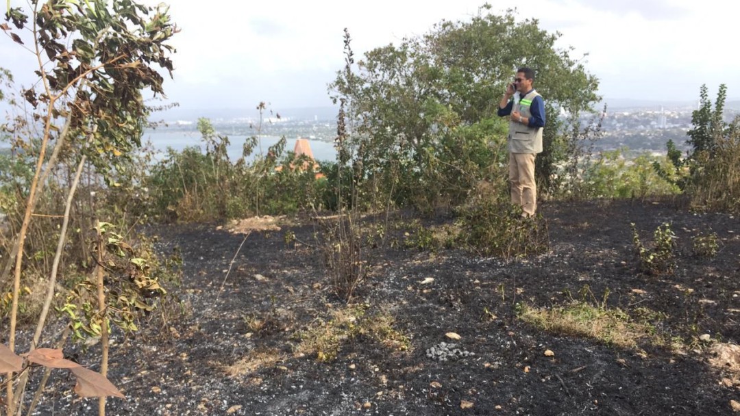 Denuncian quema indiscriminada de árboles en La Popa