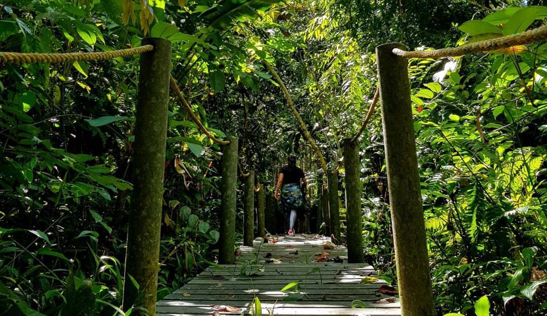 El turismo comunitario disfrutando y respetando los recursos naturales