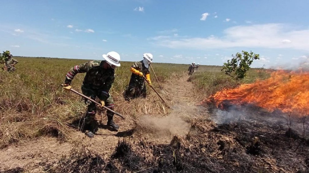 Incendio en El Tuparro arrasó con más de tres mil hectáreas de vegetación