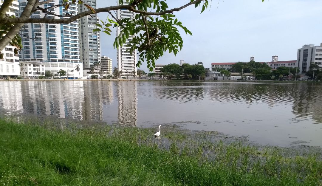 El Laguito