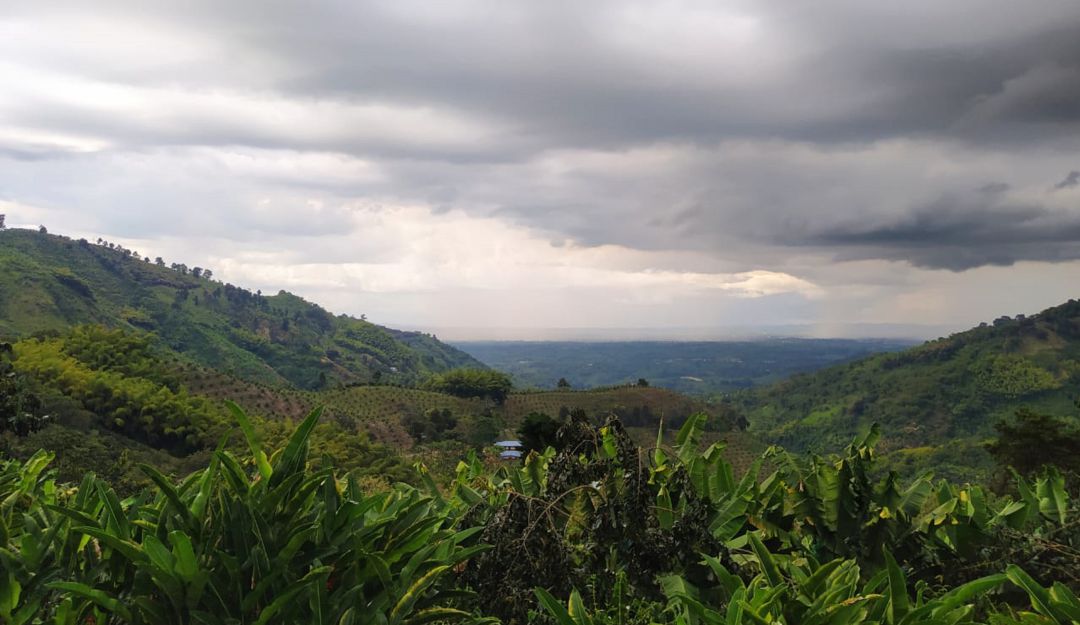 Vía Río Verde - Pijao