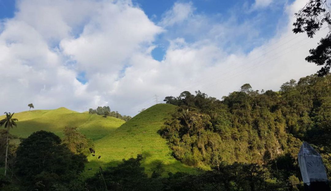 Un grupo de personas compró los predios de tres fincas en la jurisdicción de las veredas La leona y Potosí del municipio de Cajamarca.