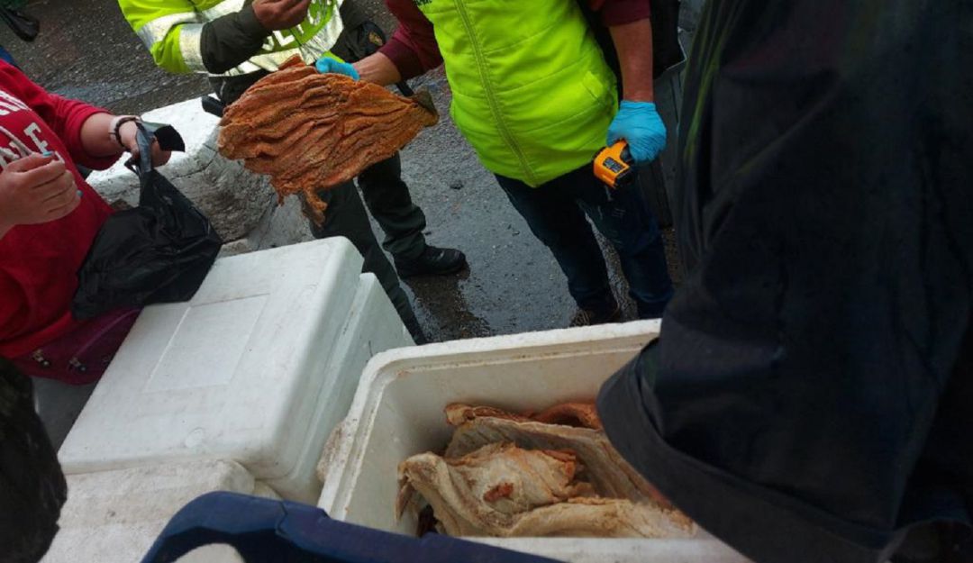 Pescado seco