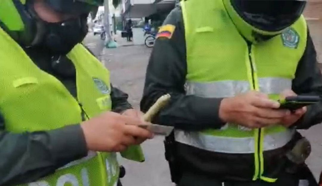Foto de referencia.