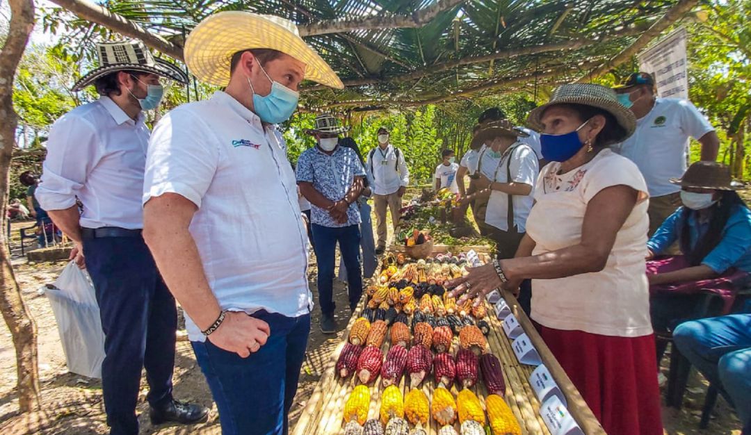 Impulsan economía en Sucre con proyectos innovadores y aval internacional