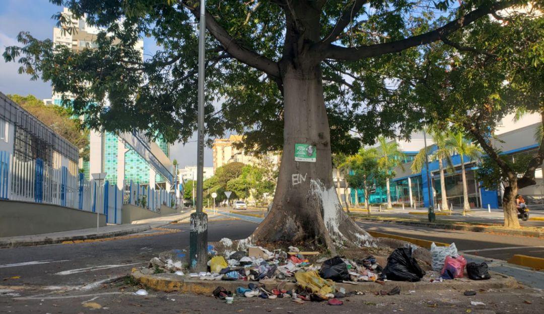 Ceiba agredida