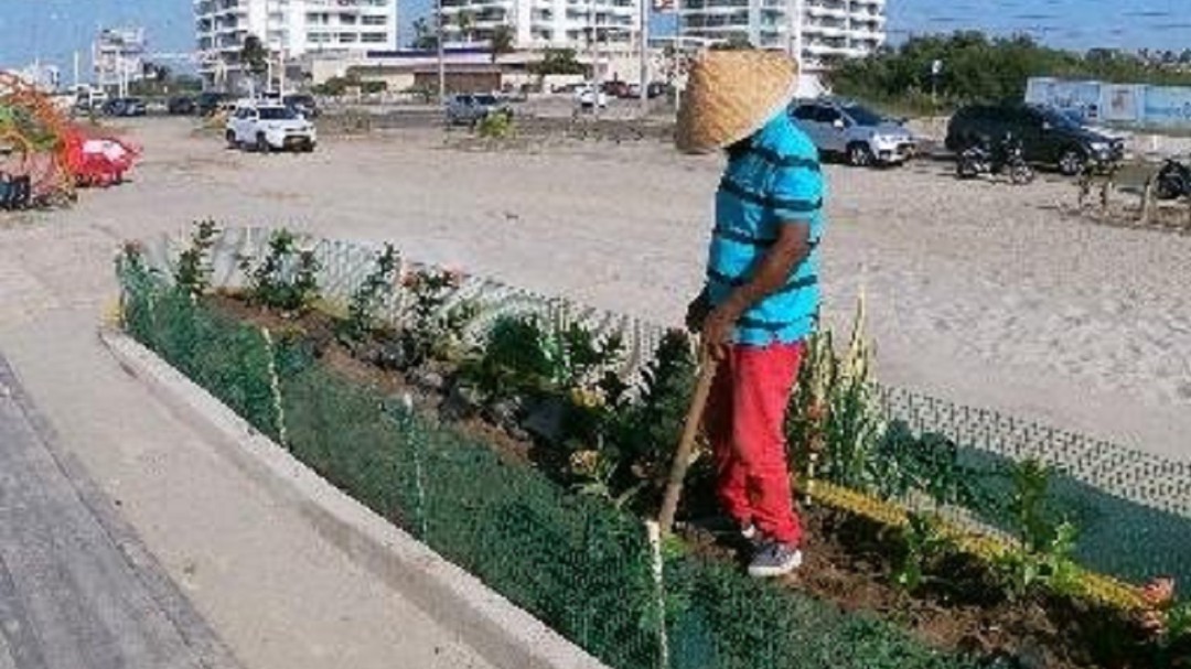 Continúan jornadas de rehabilitación en zonas verdes de Marbella