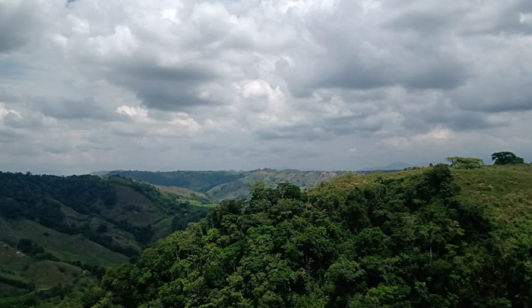 Paisaje con días grises en el departamento del Quindío, desde Quimbaya