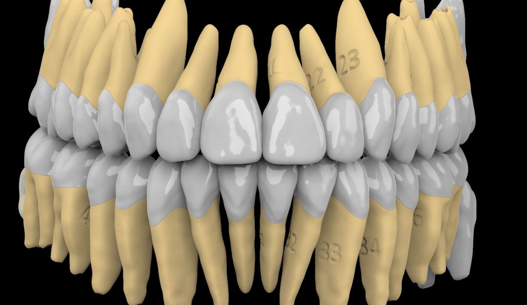 Dientes