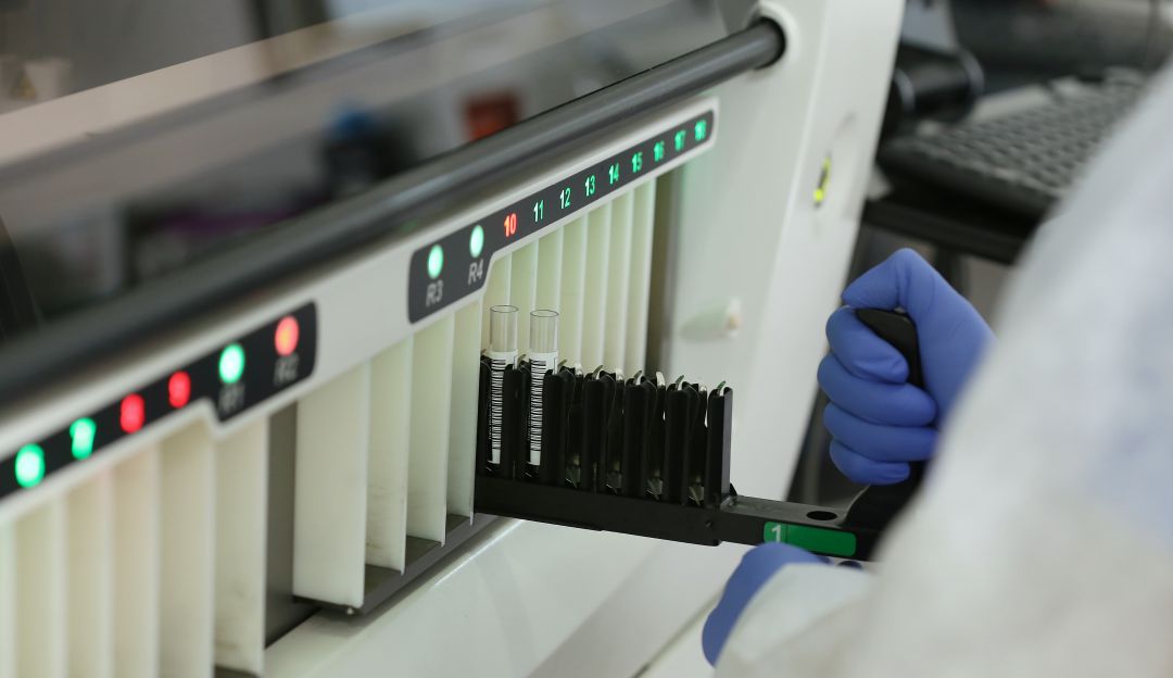 Laboratorio