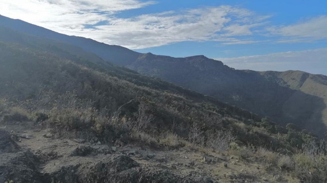 Incendio en el Páramo de Santurbán dejó 405 hectáreas afectadas