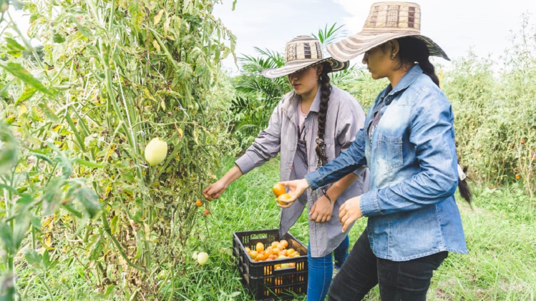 Campesinos acuden a plataforma para vender mejor sus productos