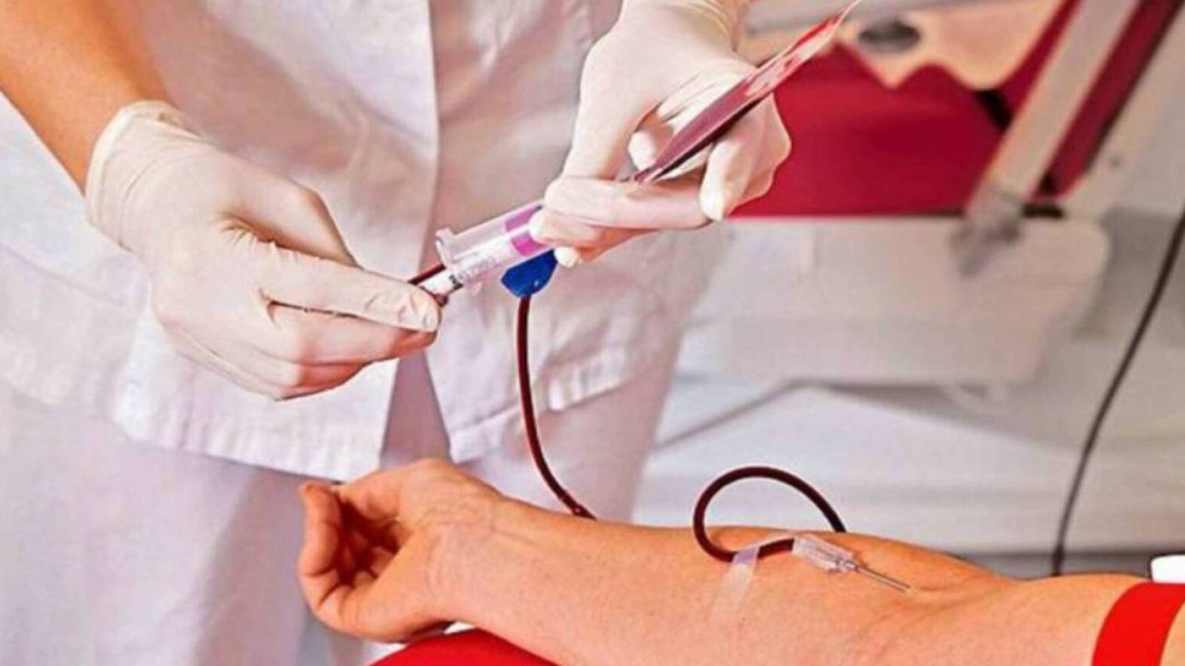 Realizarán jornadas de donación de sangre en Pereira
