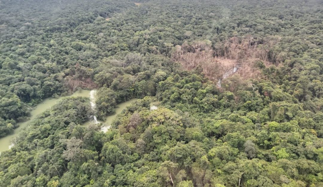 El campamento estaba en plena zona selvática del Guaviare. Se encontraron corrales con cerdos y gallinas para la supervivencia de los disidentes