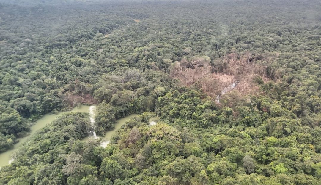 Foto de la zona de bombardeo en Guaviare contra las disidencias