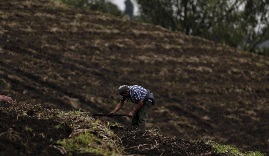 Campesinos de Colombia