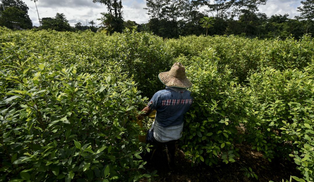 La administración Biden ha manifestado su interés en impulsar la lucha contra el narcotráfico en Colombia.