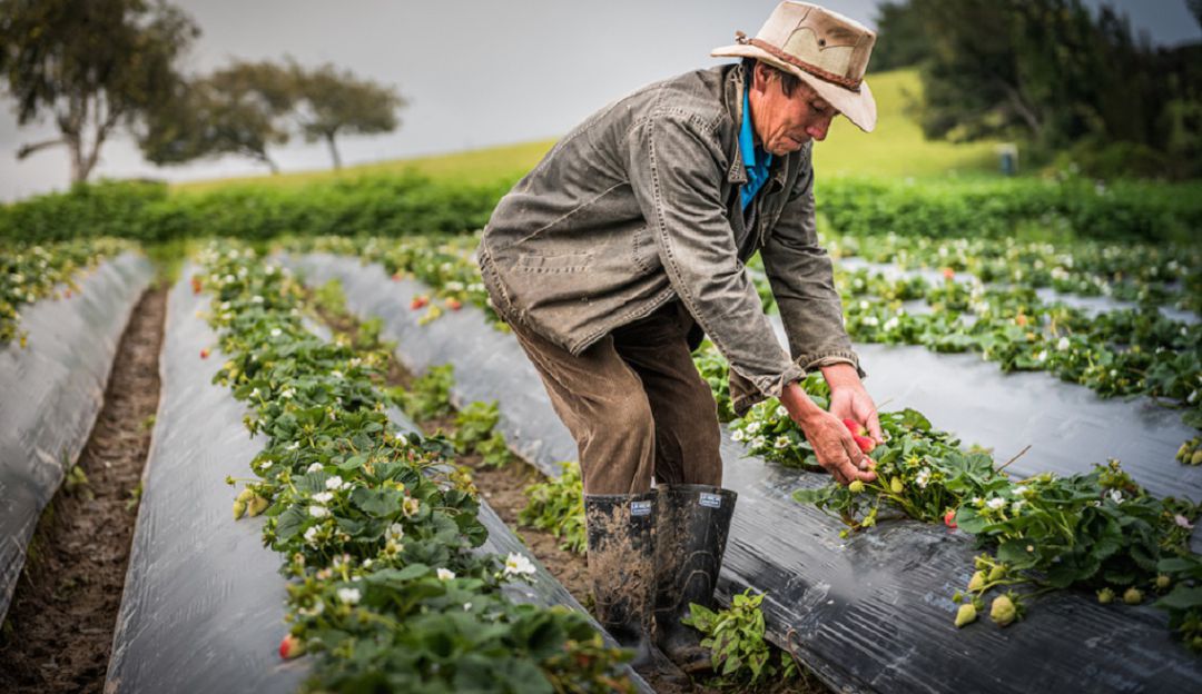 Cuidados del agro en épocas de lluvias Cuidados del agro en épocas de lluvias