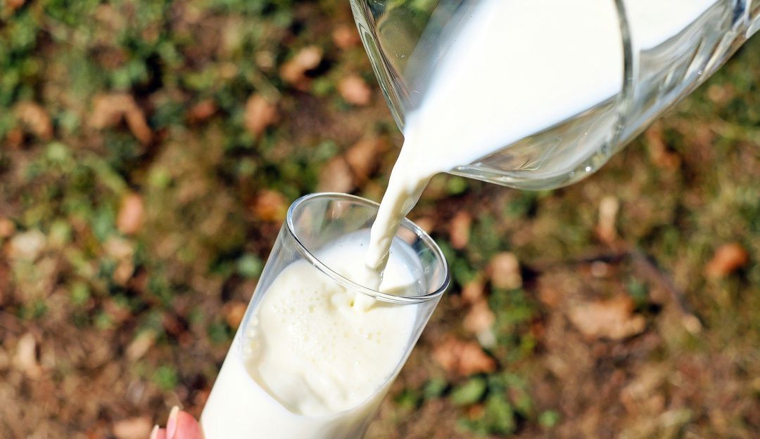 Vaso de leche