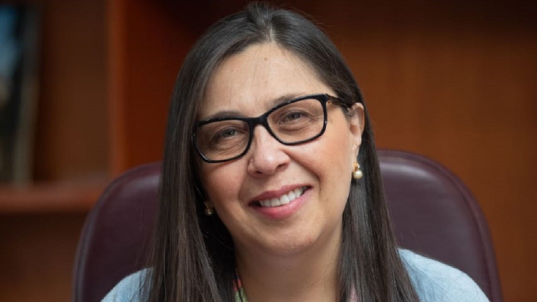 Viceministra de Minas pide unir esfuerzos para legalización de los mineros