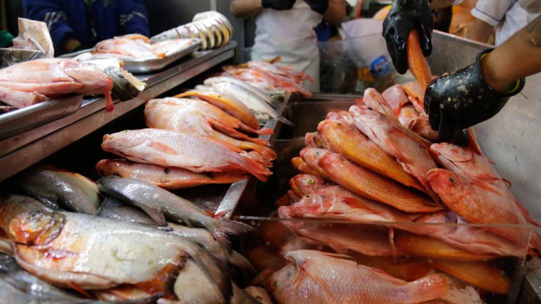 Planes de control por comercialización de pescado en mal estado