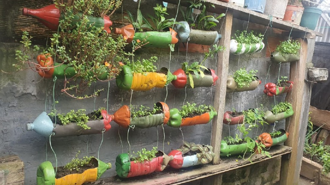 Plantas que brindan salud y bienestar cultivan las mujeres en El Doncello