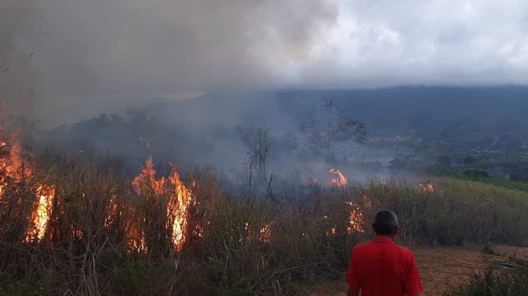 VIDEO: Se reactivó incendio forestal en la vereda Chocoa