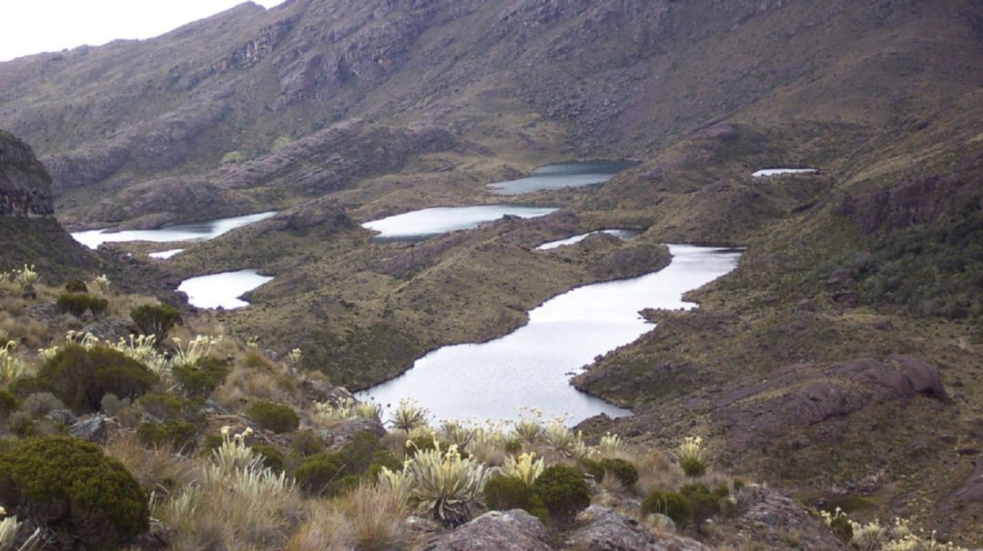 El agua ganó otra vez sobre la megaminería: Comité de Santurbán