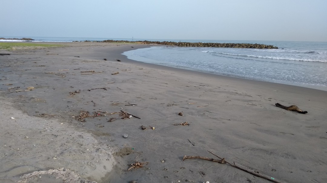 Alianza ambiental entre Alcaldía de Cartagena y gobierno de Dinamarca