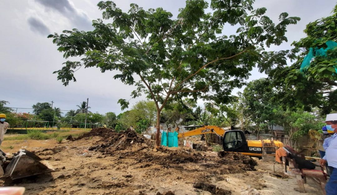 Este árbol estaba obstruyendo el desarrollo de las obras que adelanta la corporación para evitar inundaciones y evitar la erosión.