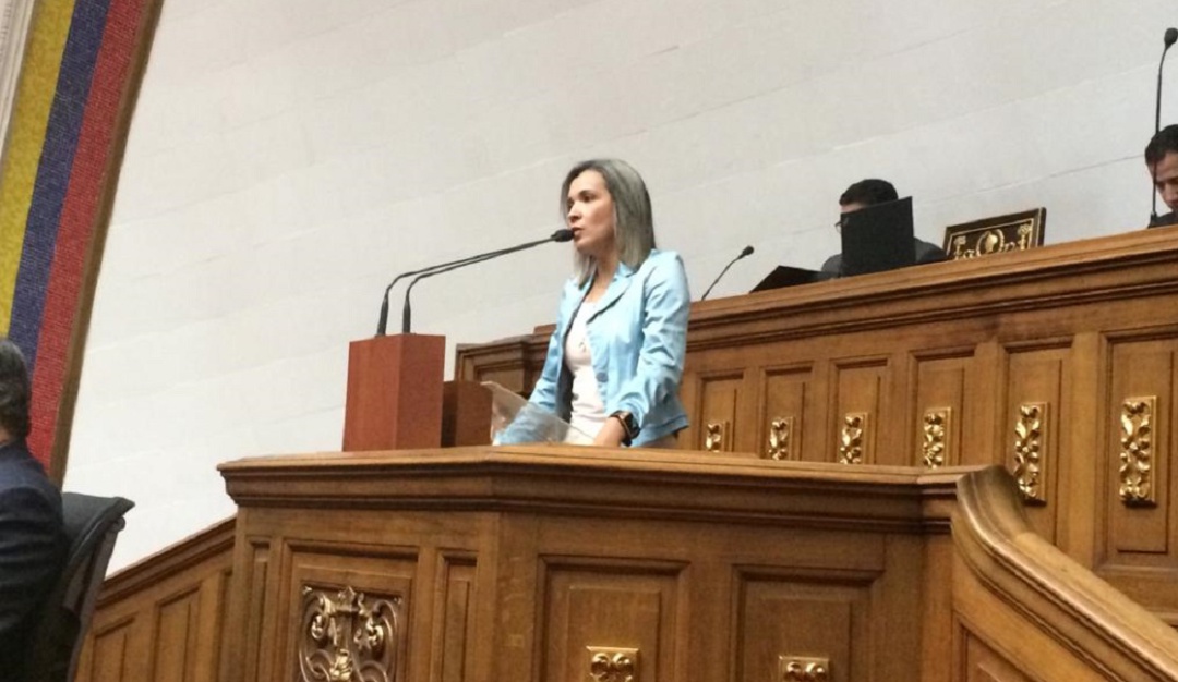 Diputada Karim Vera