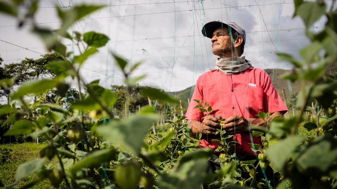 Proyecto de ley mejoraría las condiciones y acceso a la salud en el campo