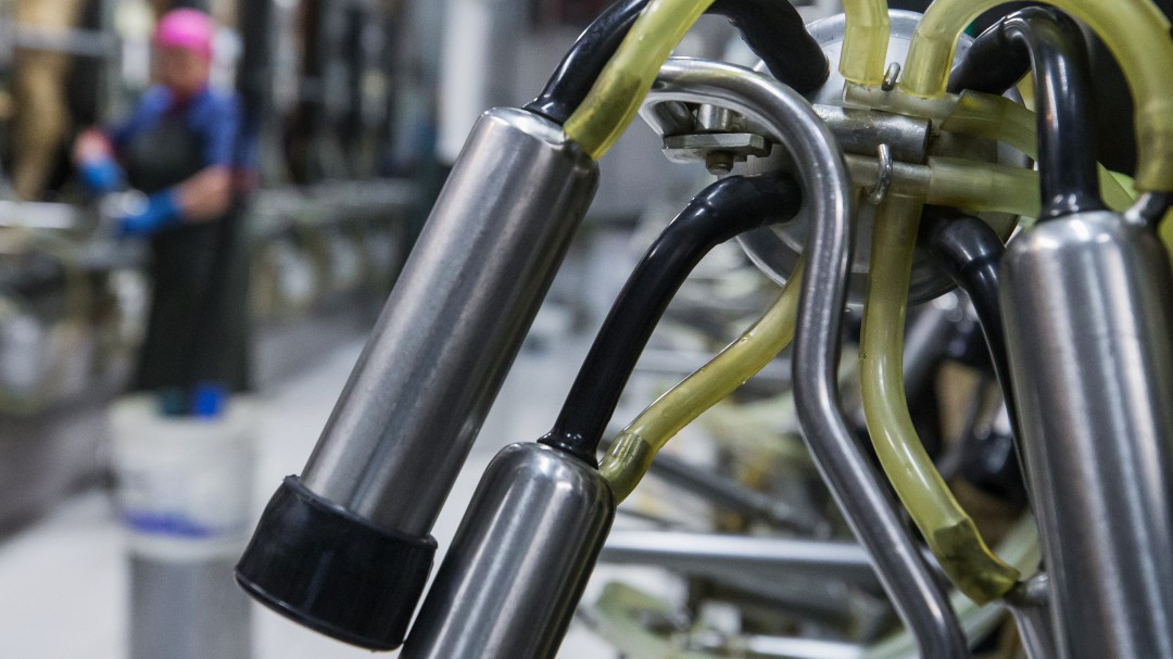Exportar, el gran reto de los productores de leche de Colombia
