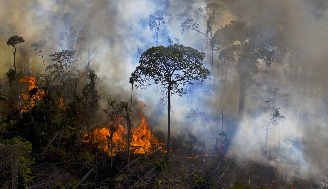 La iniciativa se suma a proyectos pasados que buscan proteger el Amazonas y las comunidades indígenas que habitan la región.