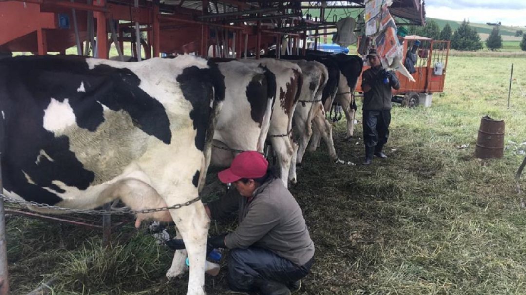Lecheros piden que les arreglen las vías de Roncesvalles, Tolima