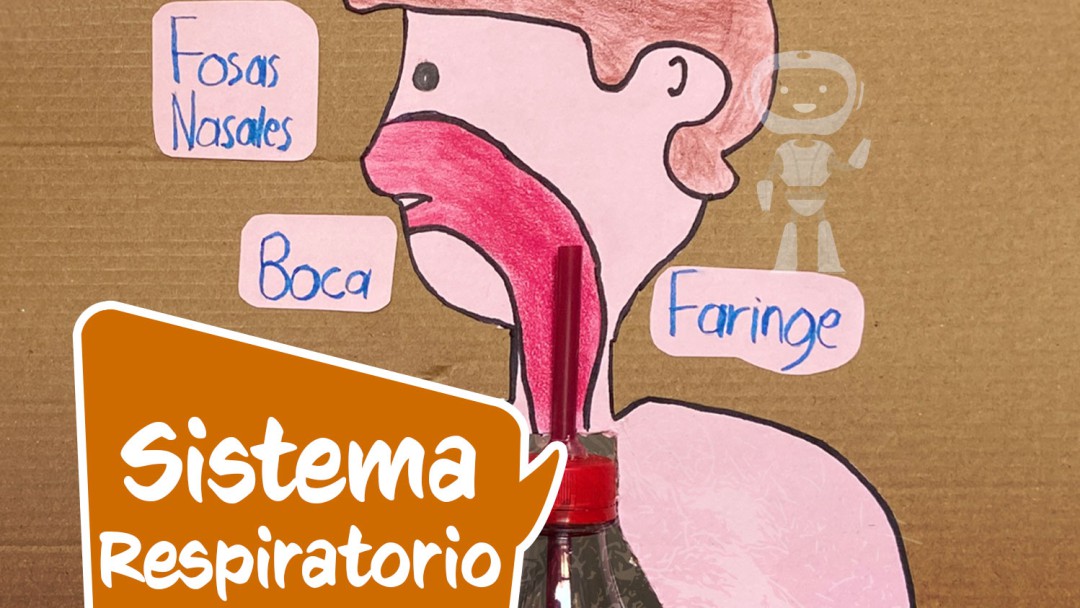 ¡Ey Jake! ¿Qué es el Sistema Respiratorio?