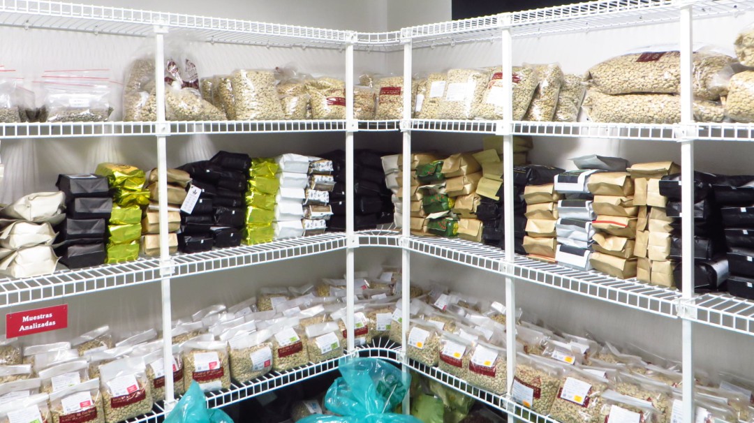 Comité de Cafeteros alerta sobre casos de suplantación