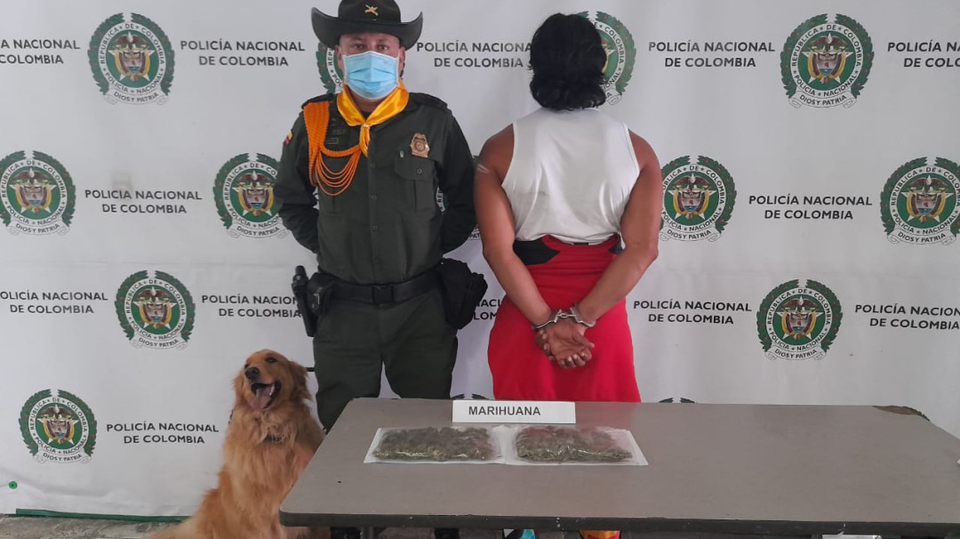 Con Policía canina incautan marihuana en el aeropuerto La Nubia