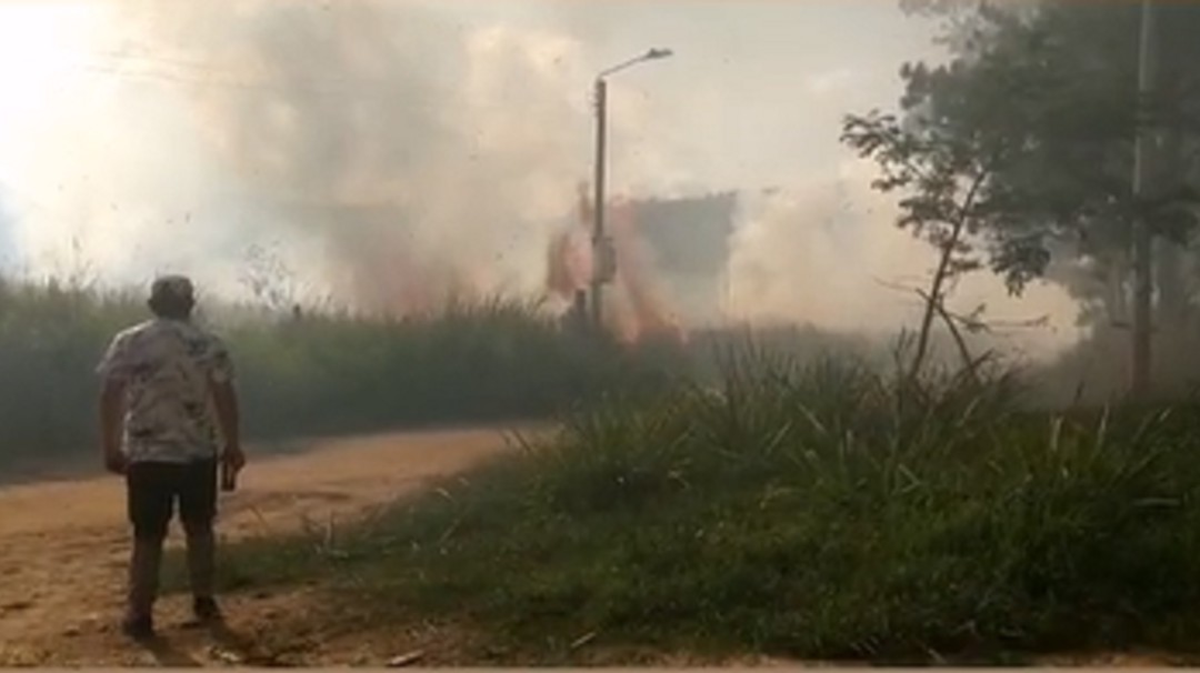 VIDEO: Voraz incendio en humedal de Girón