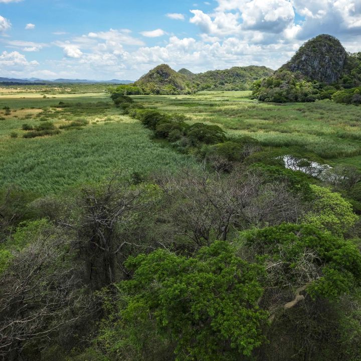 Día de la Tierra: fecha para recordar el cuidado del mundo que habitamos