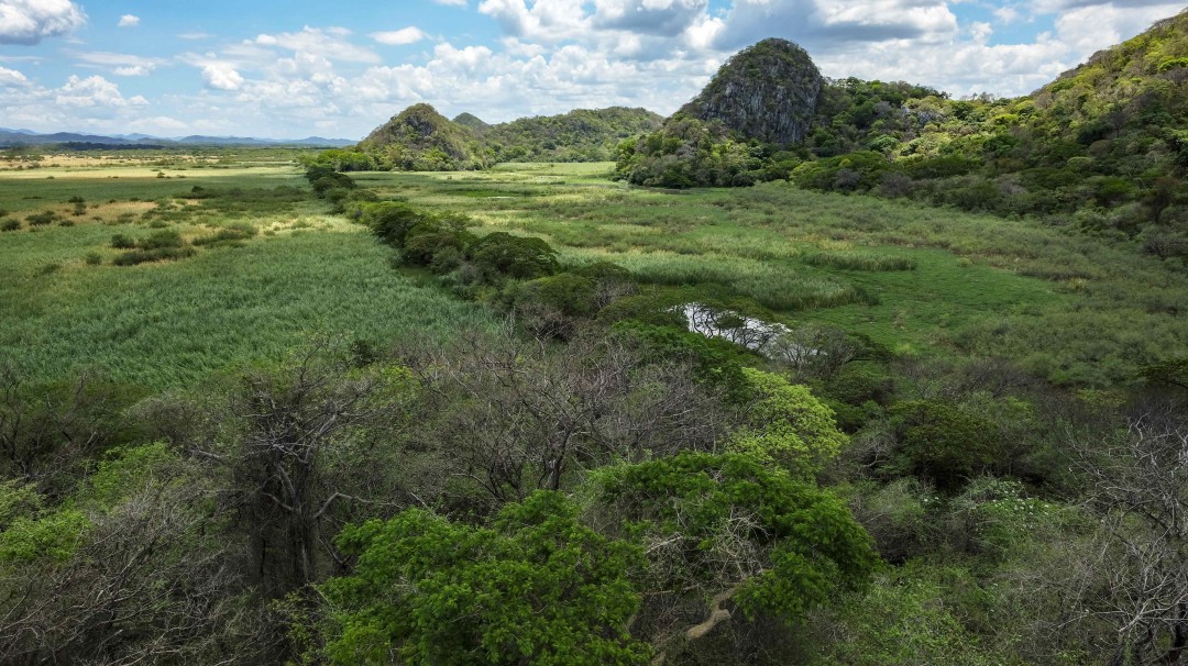 Día de la Tierra: fecha para recordar el cuidado del mundo que habitamos