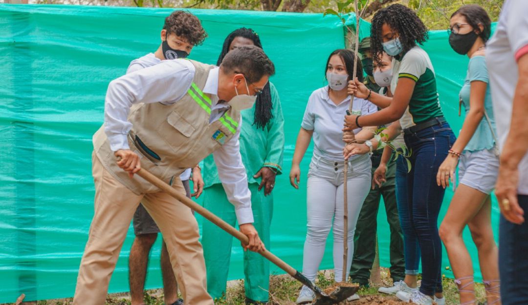 Medio ambiente