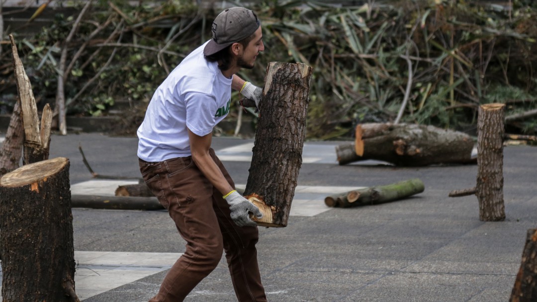 Por el Día de la Tierra, radican proyecto para enfrentar la deforestación