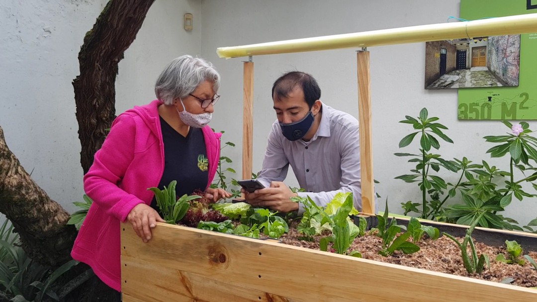Hay cultivos de alimentos en el corazón de Bogotá. ¡Conózcalos!