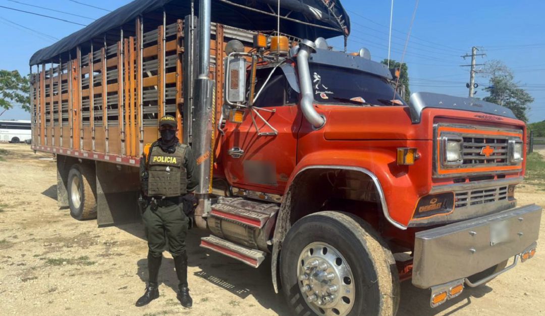 Según la Policía, faltaba documentación necesaria para su legal traslado
