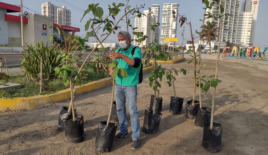 Medio ambiente