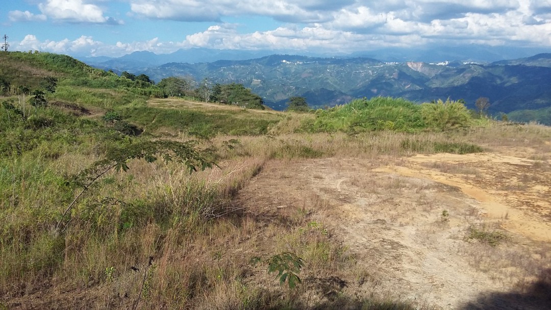 El plan de acción de Aerocafé está en un 25 por ciento